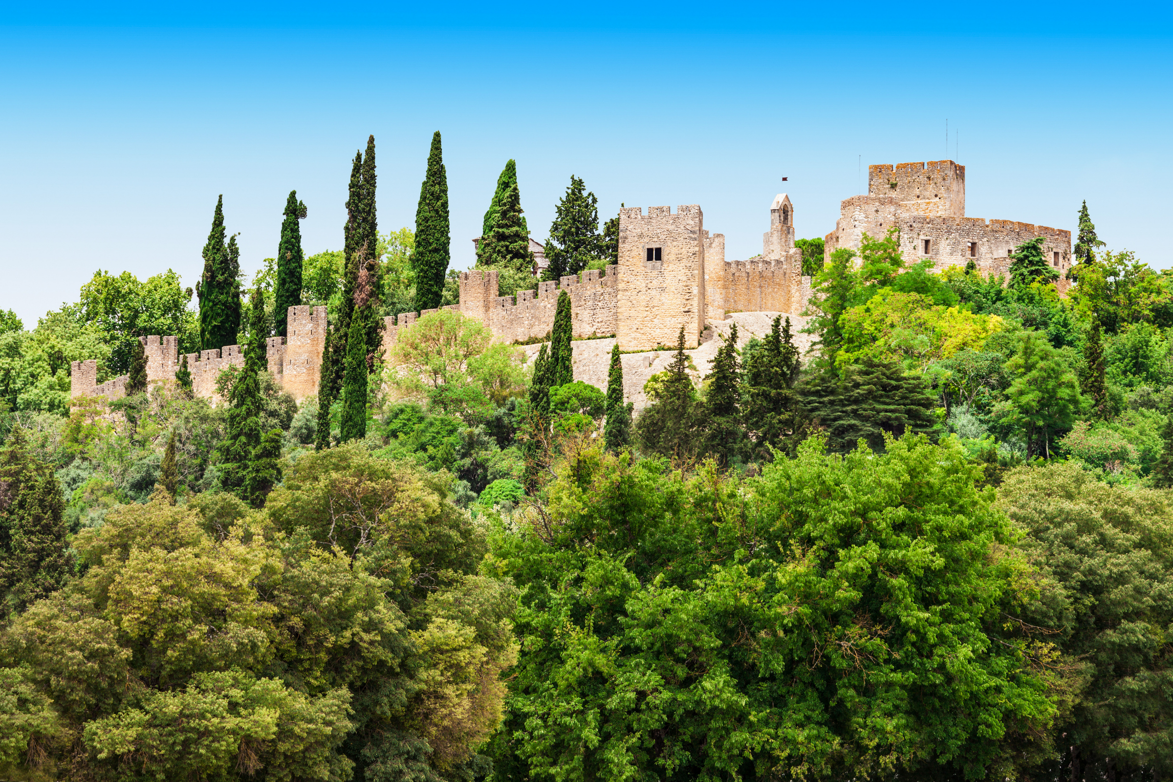 tomar (2).webp